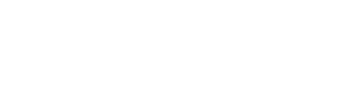 SECOIA Executive Consultants